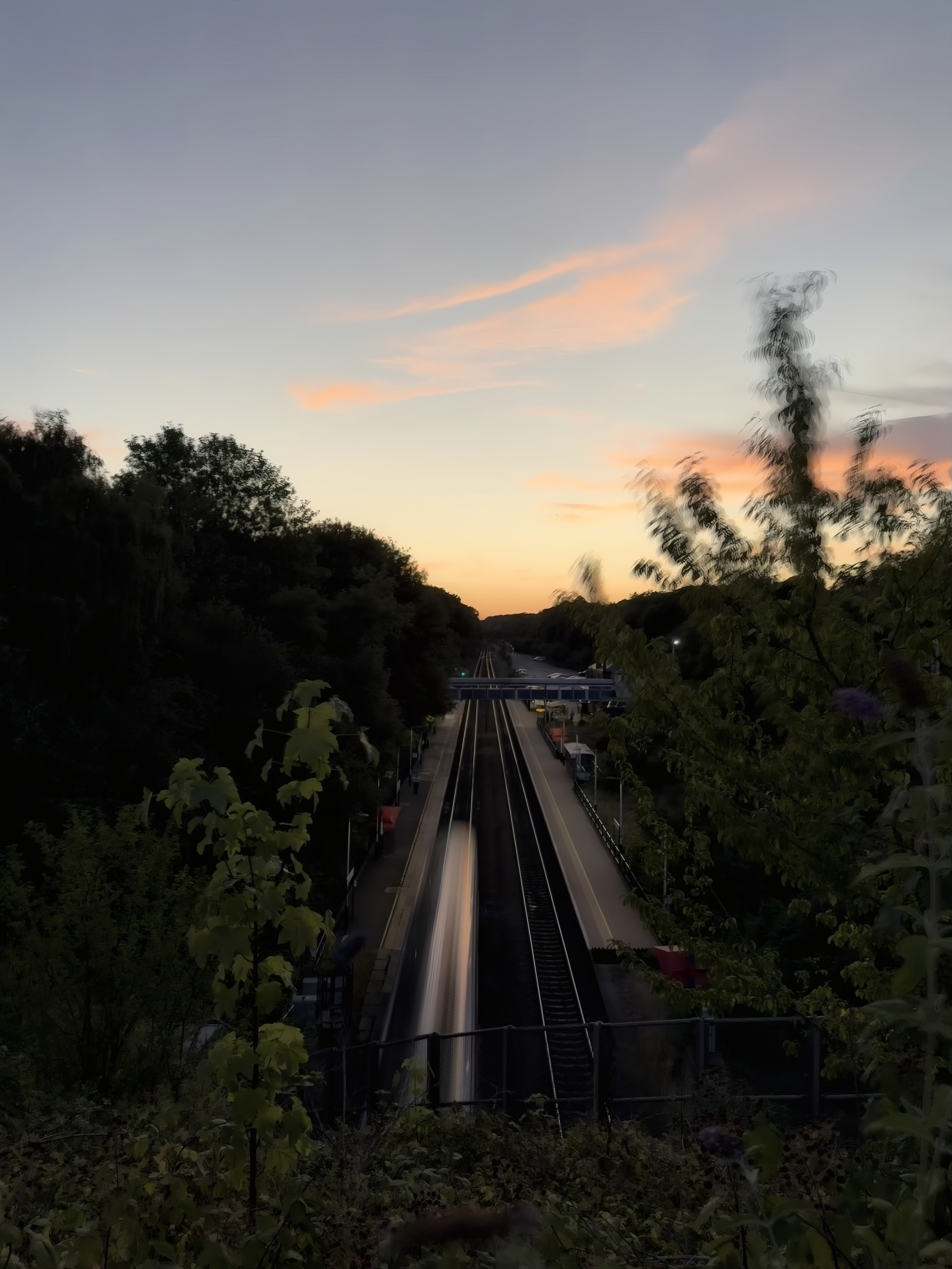 Golden hour landscape